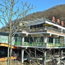 초리골초계탕 이미지