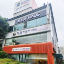 KT 건물 횡단보도 이미지