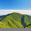 상산골