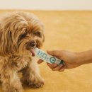 조인트 동물병원 이미지