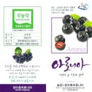 지리산하옹고 이미지