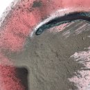 양산 반달곰 카센타 이미지