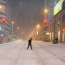 [2016년 1월 12일] 첫 눈 내리는 Toronto 거리 이미지