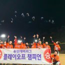 히터스베이스볼센터