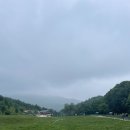 배구목장 이미지