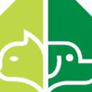 이로운 강아지 이미지