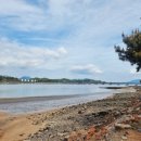 구비 | [초신상 캠핑장] 배알도별빛야영장 카라반 4인 가족 리얼 후기! (장단점/구비품목/온수 필독)