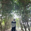 2인 플레이, 당일 현장방문 가능한 제주도 9홀 &#39;캐슬렉스 퍼블릭&#39; [제주 골프장 시리즈4]