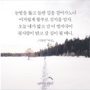 소명출판 이미지