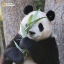 홀리몰리 이미지