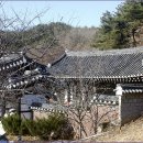 원모사 이미지