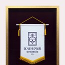 기념 페넌트 액자제작 | 협회∙단체 기념패 맞춤 표구 | 훈장액자∙유니폼액자 전문