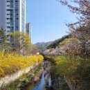 꽃피는부동산중개 이미지