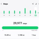 12월 24일 일요일 [11번/11점] 크리스마스 이브 이미지