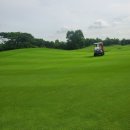 GDR아카데미 세종대평점 이미지