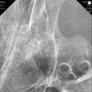 다올동물의료센터 망포점 이미지