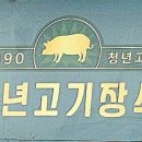 청년고기장수동탄