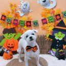 딱이네미용실 이미지