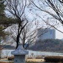 연기면_세종호수공원 제1주차장 이미지