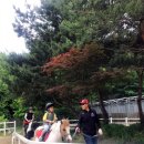 대전승마장 이미지