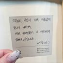 케이-design | 프리미엄미용커트보 케이프릴 실사용 후기