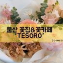 (주)테소로 이미지
