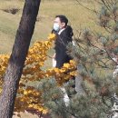 삼성전자선산 이미지
