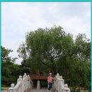 강원도립화목원 이미지