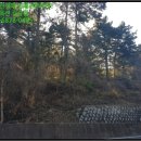 사량초등학교읍덕분교장 이미지