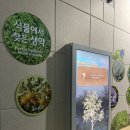한라산생약