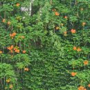 희망체육공원 배드민턴장 이미지