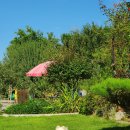 해피독쌤 이미지