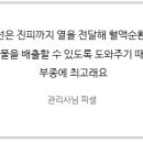 위더스사우나 이미지