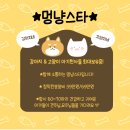멍냥멍냥 이미지
