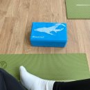 오늘도구움 | 전주 삼천동 요가 하리움요가 초보자도 다니는 신상 요가원 추천