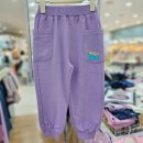 리틀밥독 이미지