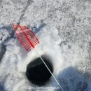 썬파인 | [화천 가볼만한곳] 화천산천어축제 2026 직접 방문 후기