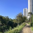 사임당로공원 이미지