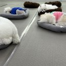 신림유치원 티스토리
