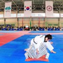 인제군, 제7회 한국체육대학교 총장배 전국태권도 품새대회 이미지