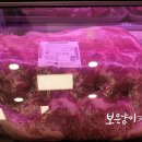 농협안전축산물전문점 이미지