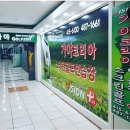 코리아스크린골프 이미지