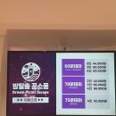앨리스소풍 | 안산방탈출 꿈소풍 꿈꾸는앨리스 방세포 꽃길 후기