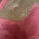 허브향기 | 대전 무더위 탈출! 발끝부터 피로 녹이는 허브향기 족욕 후기(내돈내산)