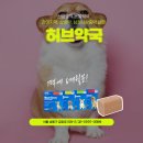 신금호약국 이미지