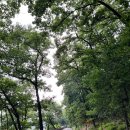 진주 비봉루 이미지