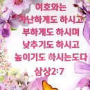 샬롬 Daum카페