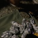 충주반딧불오토캠핑장 이미지