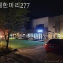 고래한마리277