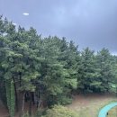 애월읍 소길리풋감마을 | [제주] 제주숙소MG새마을금고 연수원 2박 3일 솔직 후기! 룸컨디션부터 편의시설까지 완벽 정리